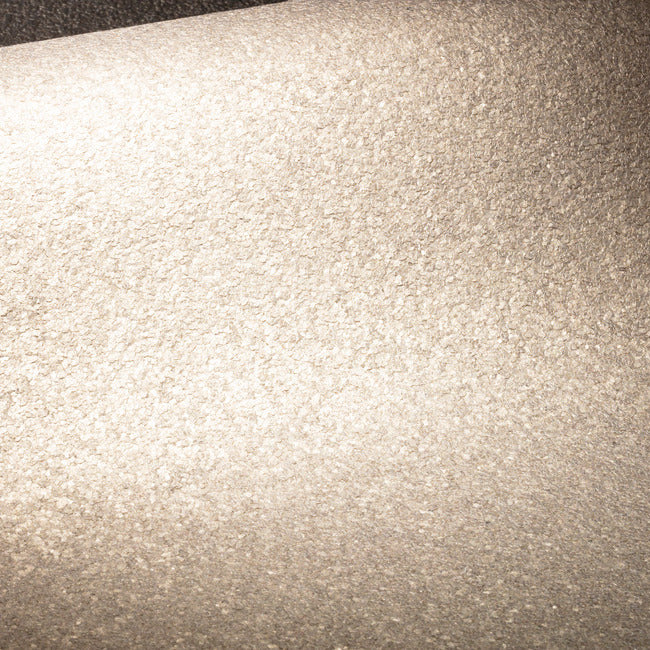 Shimmering Mica