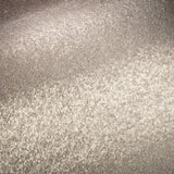 Shimmering Mica