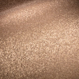 Shimmering Mica