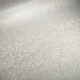 Shimmering Mica