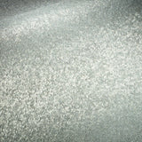 Shimmering Mica