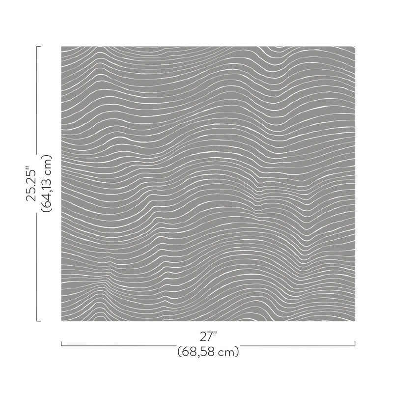 Terrain