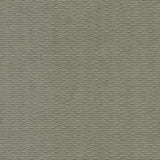 Myriad Dove